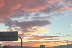 Sunset Appreciation