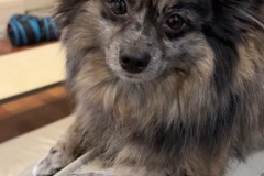 Smokey baby again !